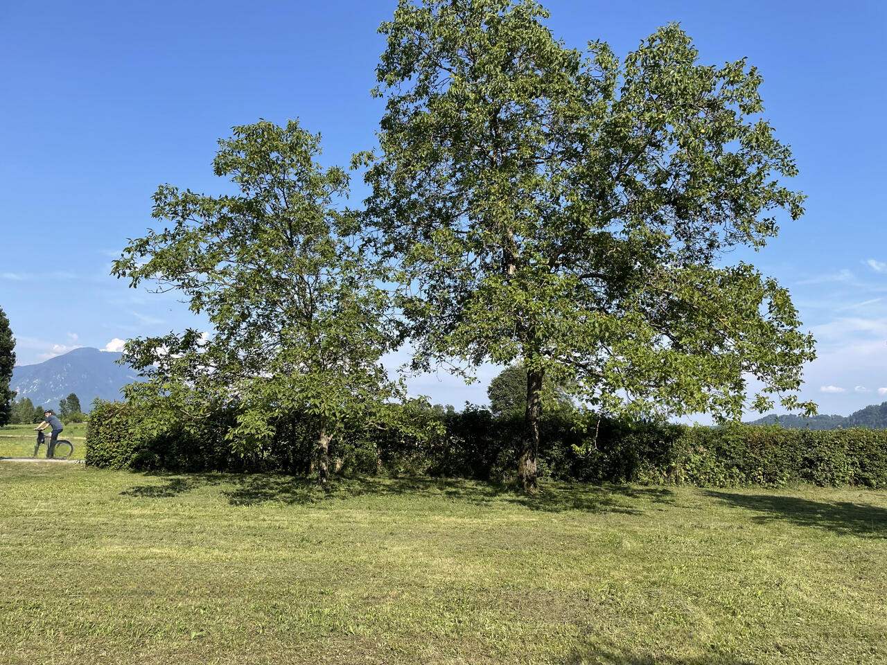 Земля в Бледе, Словения, 5 090 м² - фото 5