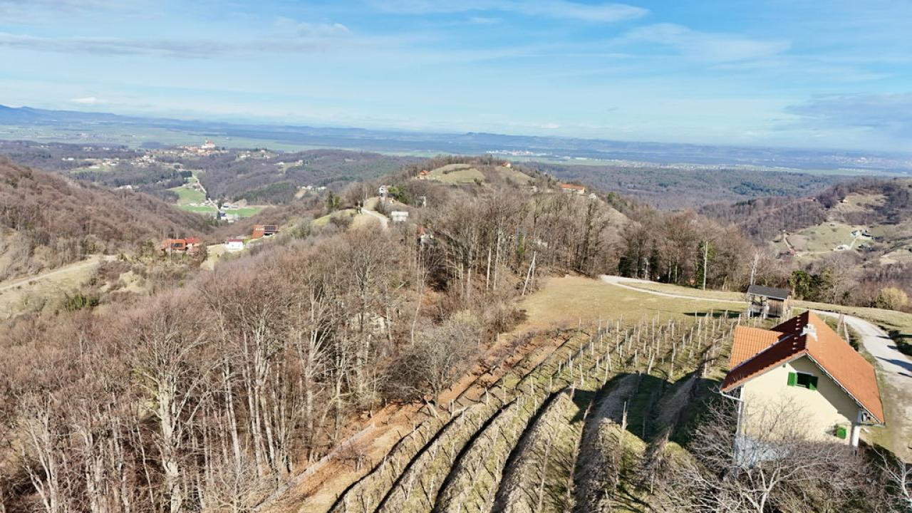 Дом в Птуе, Словения, 98 м² - фото 5