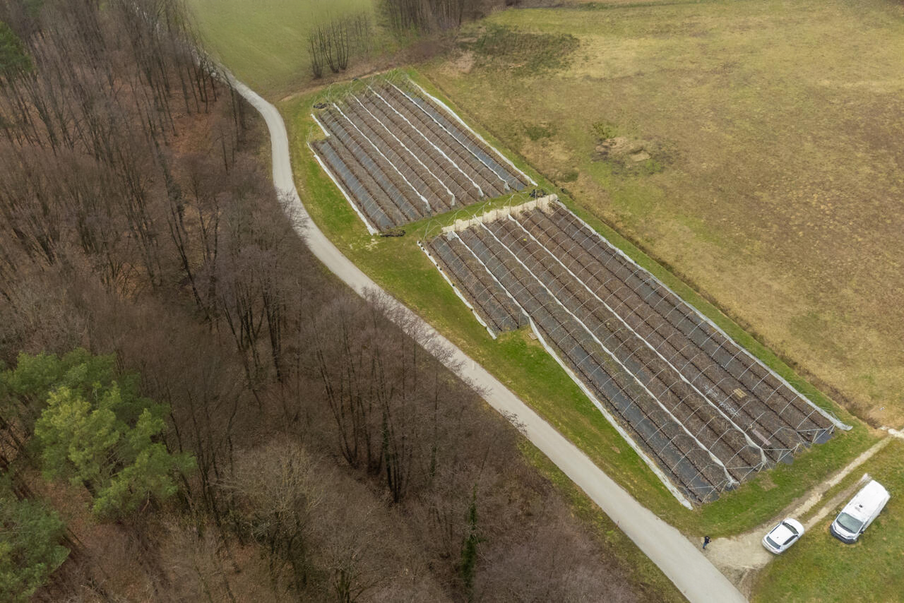 Ферма в Орможе, Словения, 3 200 м² - фото 5