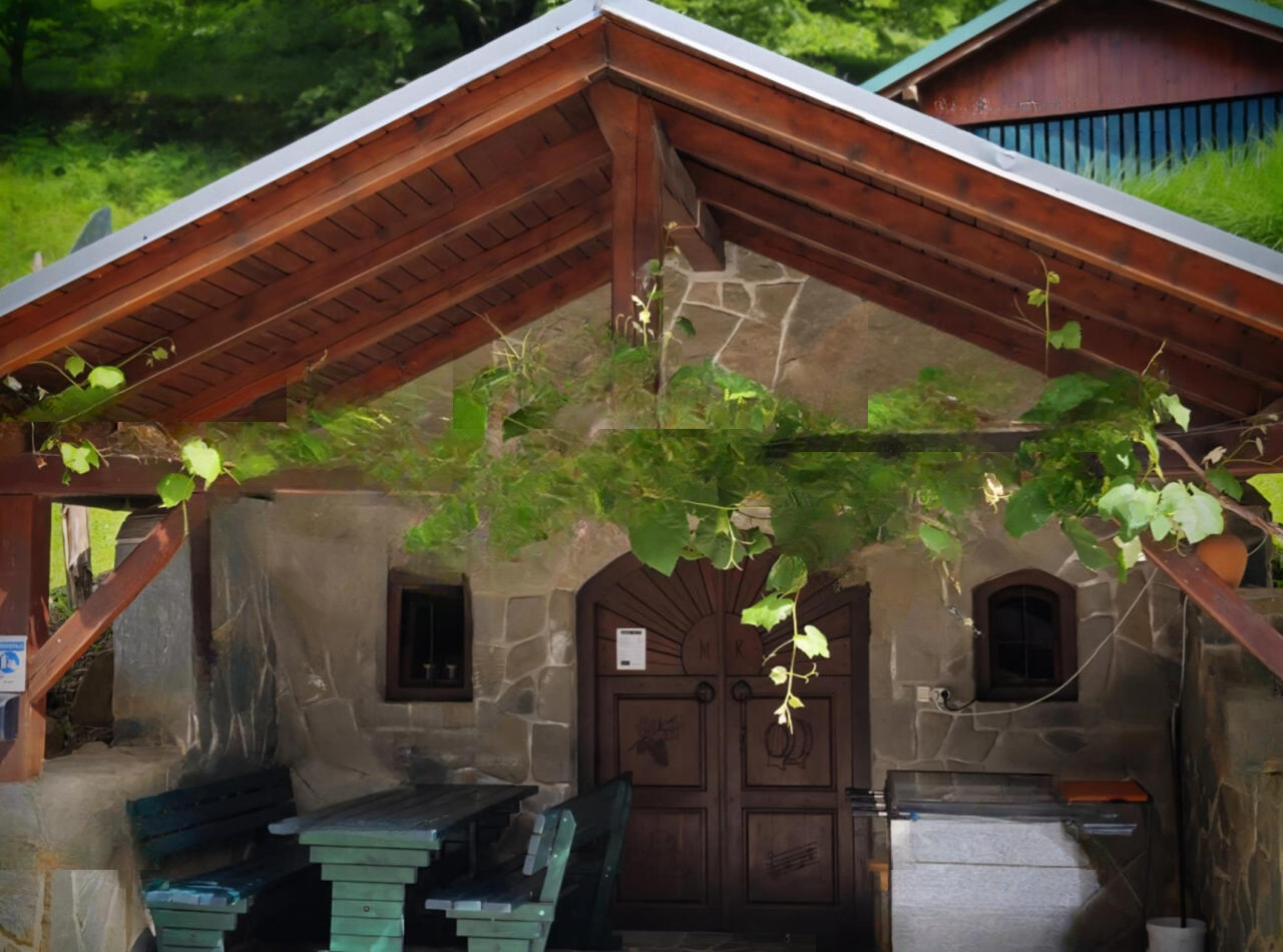 Ферма в Птуе, Словения, 656 м² - фото 5