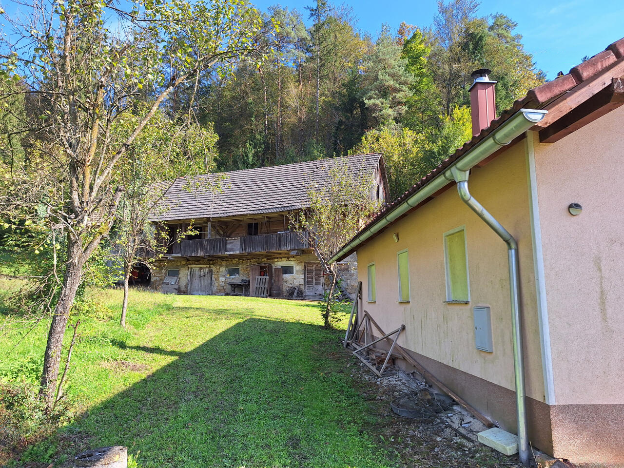 Ферма в Севнице, Словения, 51 000 м² - фото 5