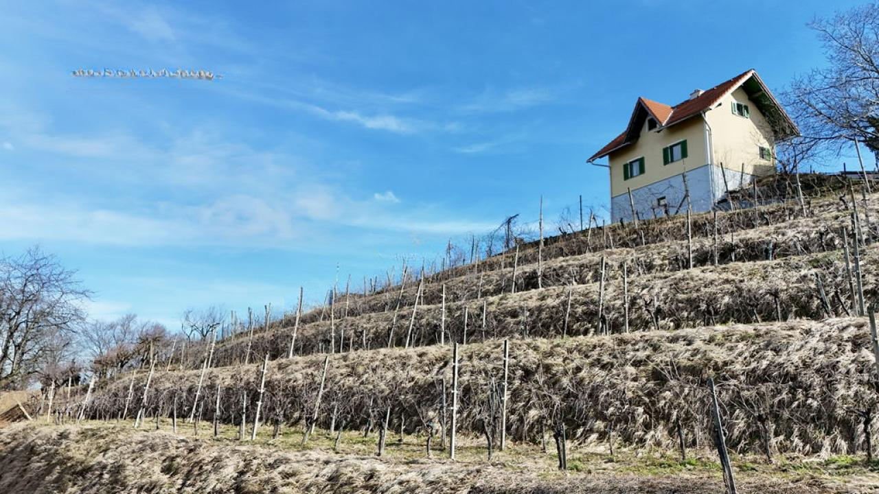 Дом в Птуе, Словения, 98 м² - фото 6