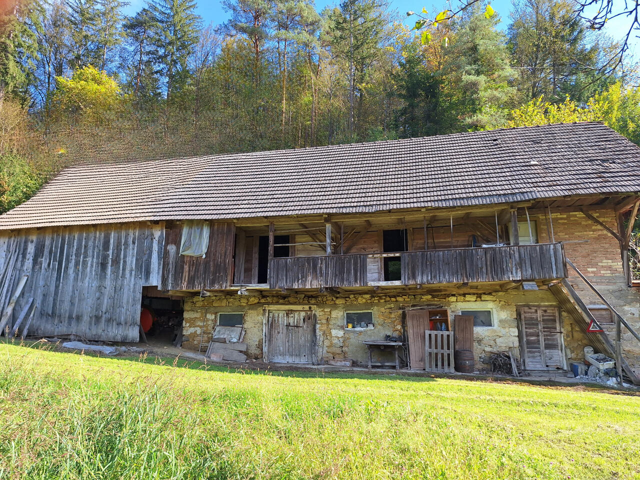 Ферма в Севнице, Словения, 51 000 м² - фото 6