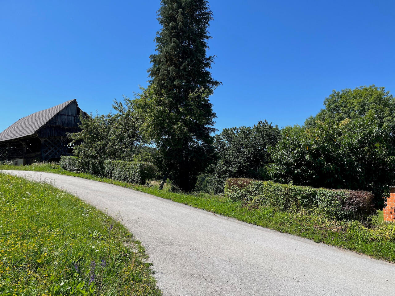 Ферма в Литие, Словения, 17 817 м² - фото 6