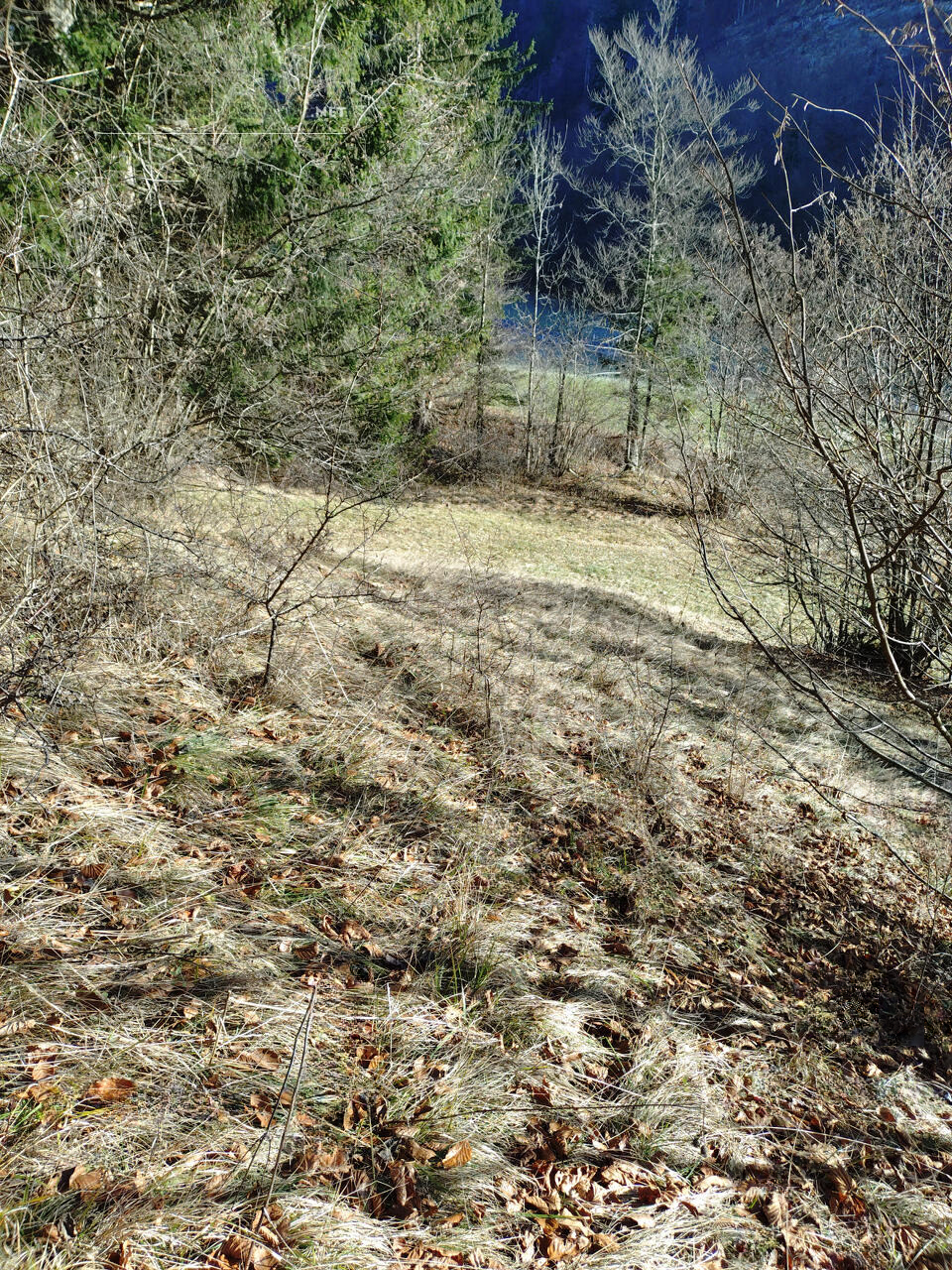 Земля в Преддворе, Словения, 5 010 м² - фото 6