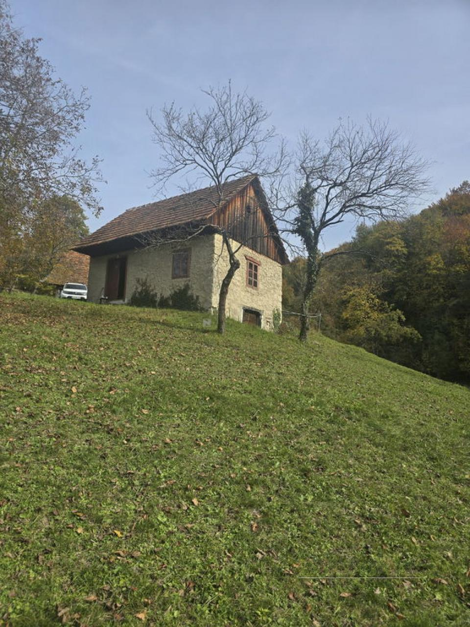 Ферма в Шентюре, Словения, 35 м² - фото 6