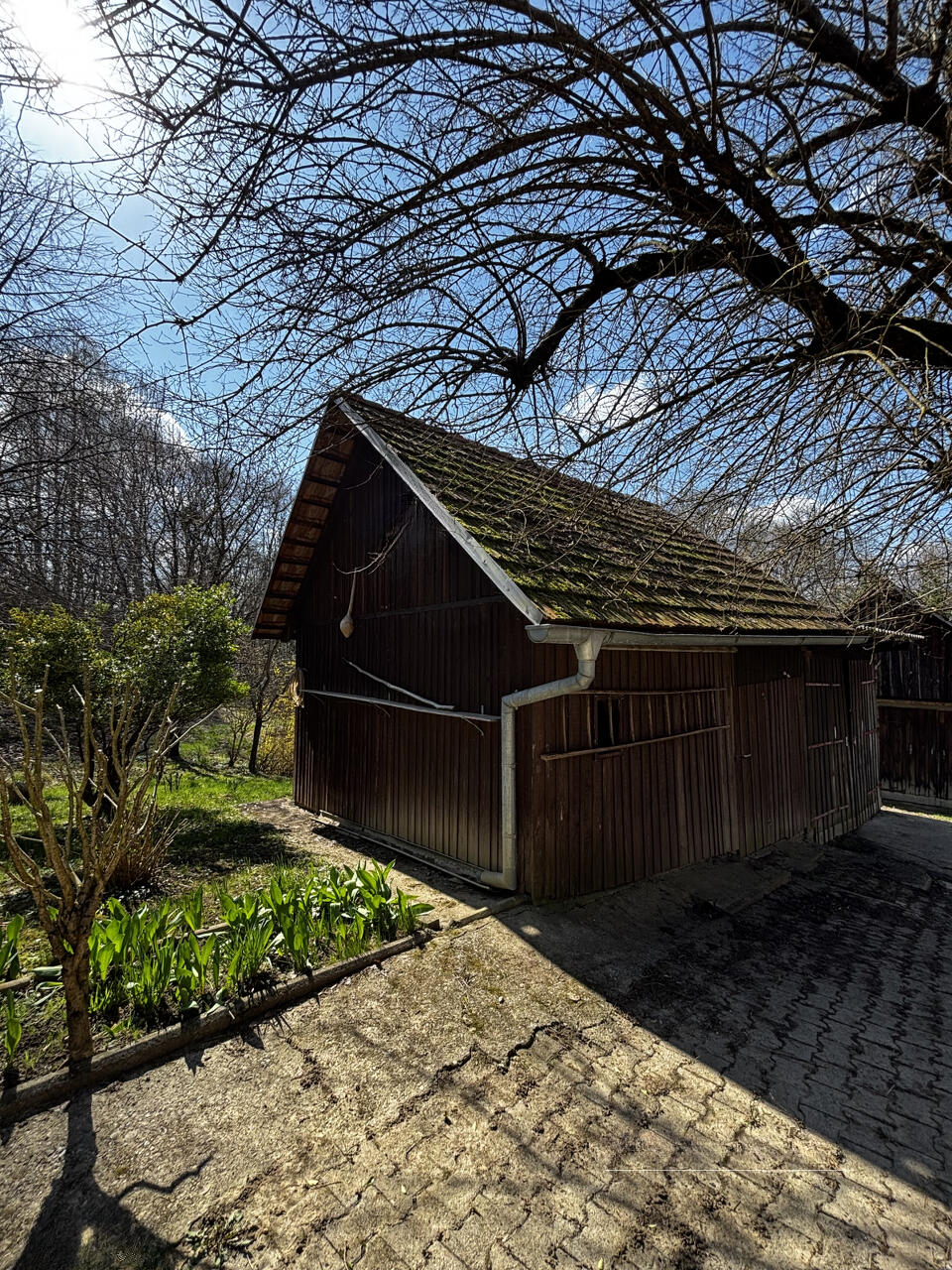 Ферма в Орможе, Словения, 41 847 м² - фото 7