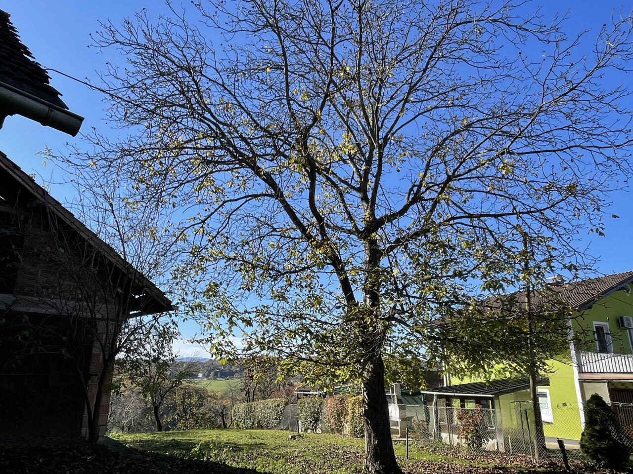 Дом в Шентиле, Словения, 88 м² - фото 7