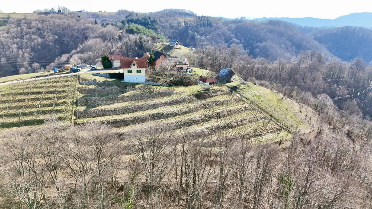 Дом в Птуе, Словения, 98 м² - фото 7