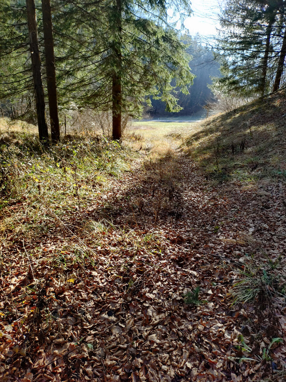 Земля в Преддворе, Словения, 5 010 м² - фото 8