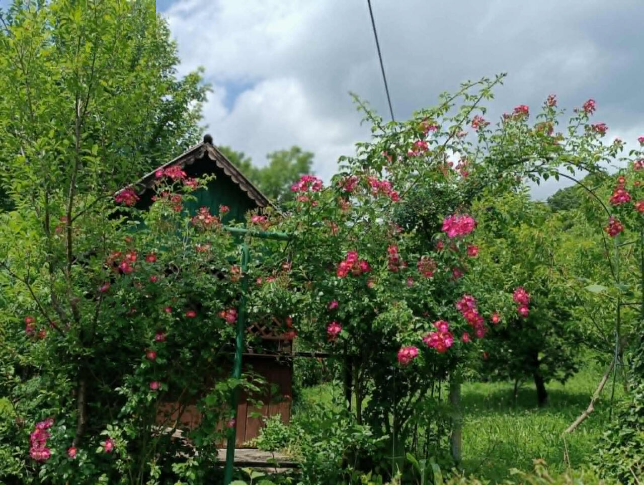 Дом в Лашко, Словения, 55 м² - фото 4