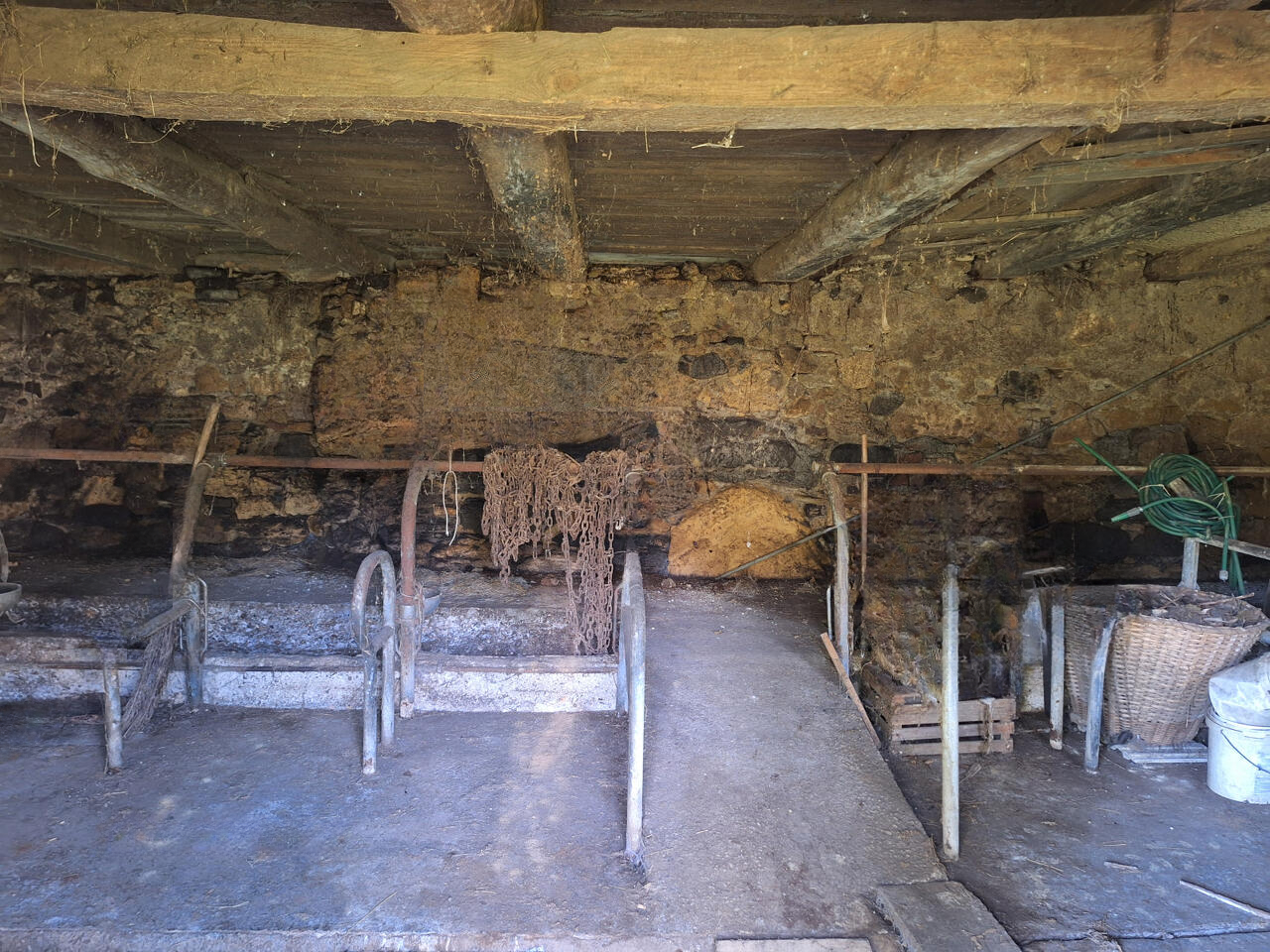 Ферма в Севнице, Словения, 51 000 м² - фото 8