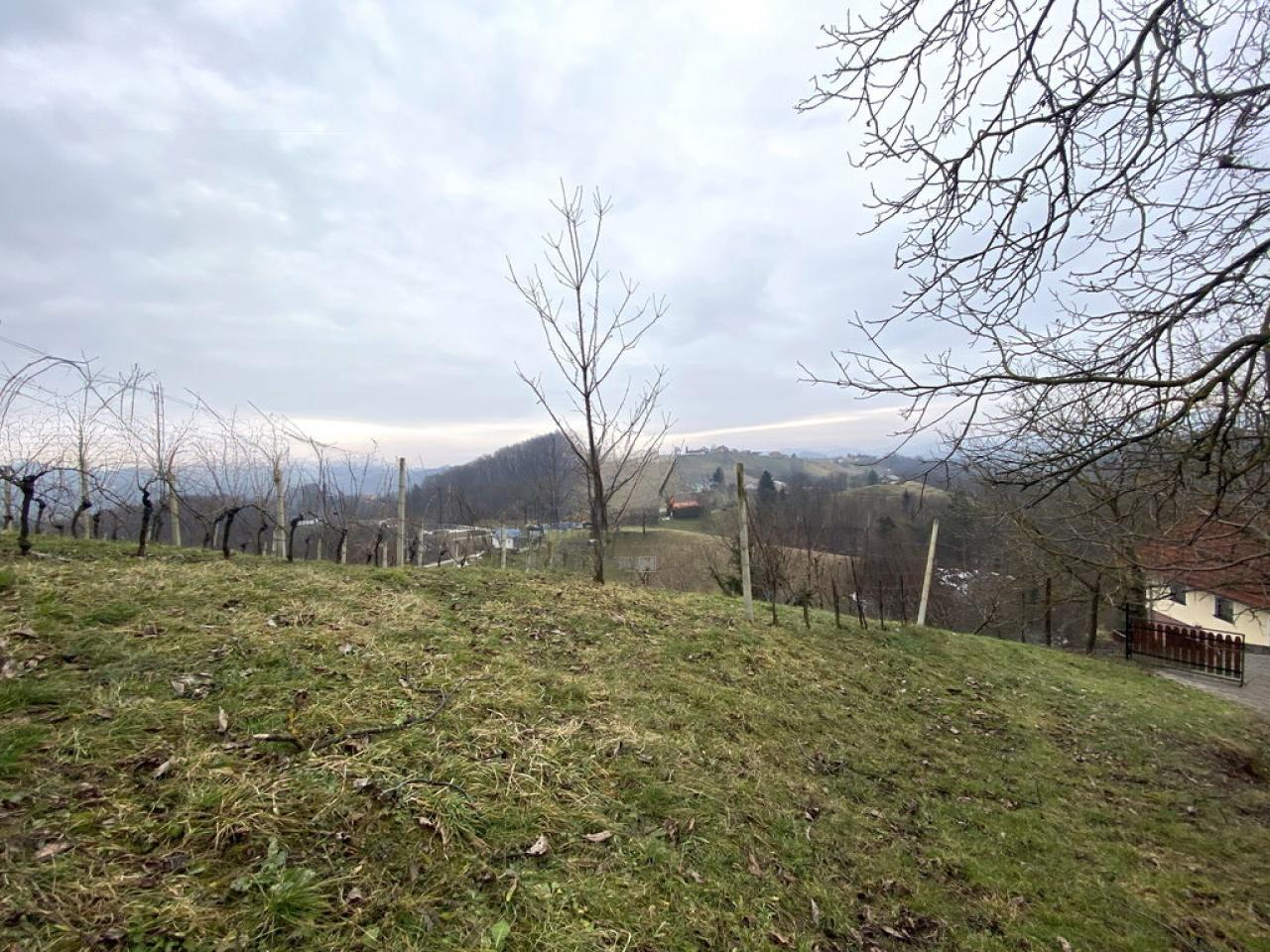 Дом в Птуе, Словения, 50 м² - фото 8