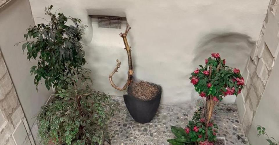 Квартира в Женеве, Швейцария, 55 м² - фото 9