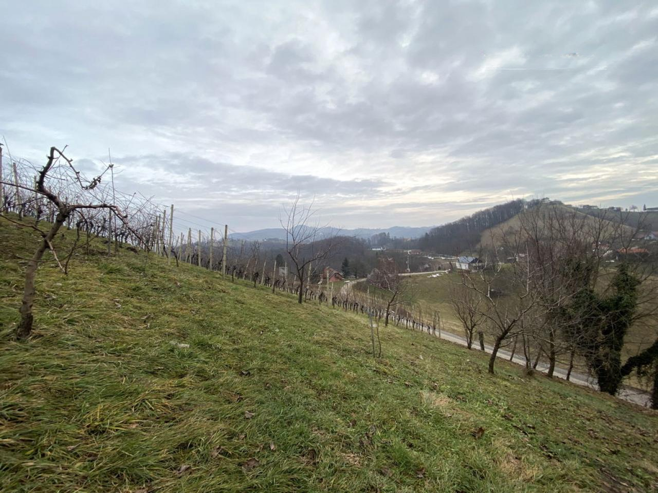 Дом в Птуе, Словения, 50 м² - фото 9