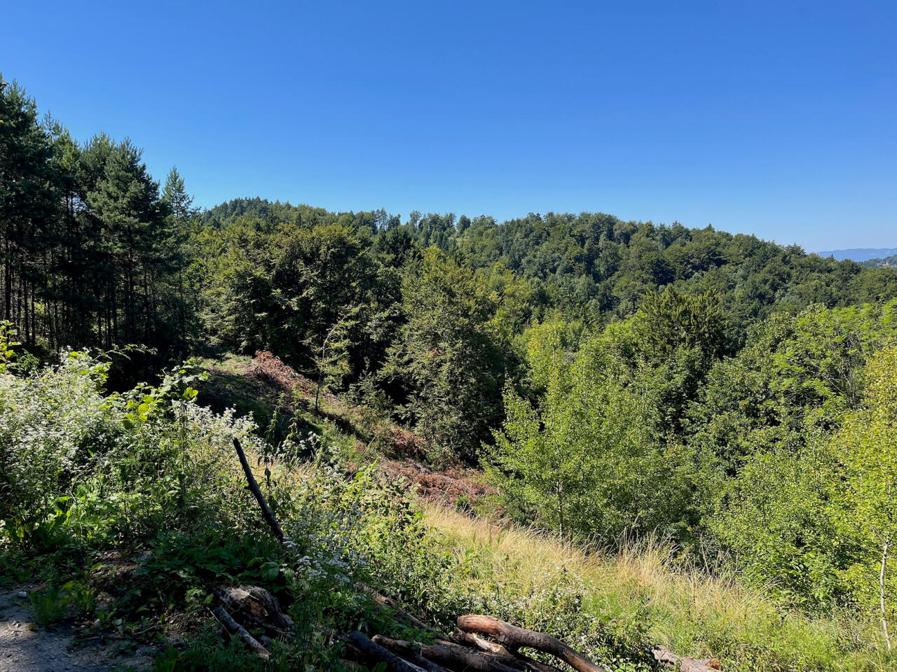 Ферма в Литие, Словения, 17 817 м² - фото 9