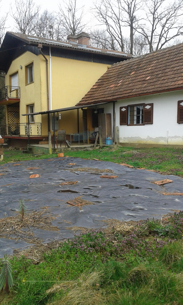 Ферма в Птуе, Словения, 35 000 м² - фото 9