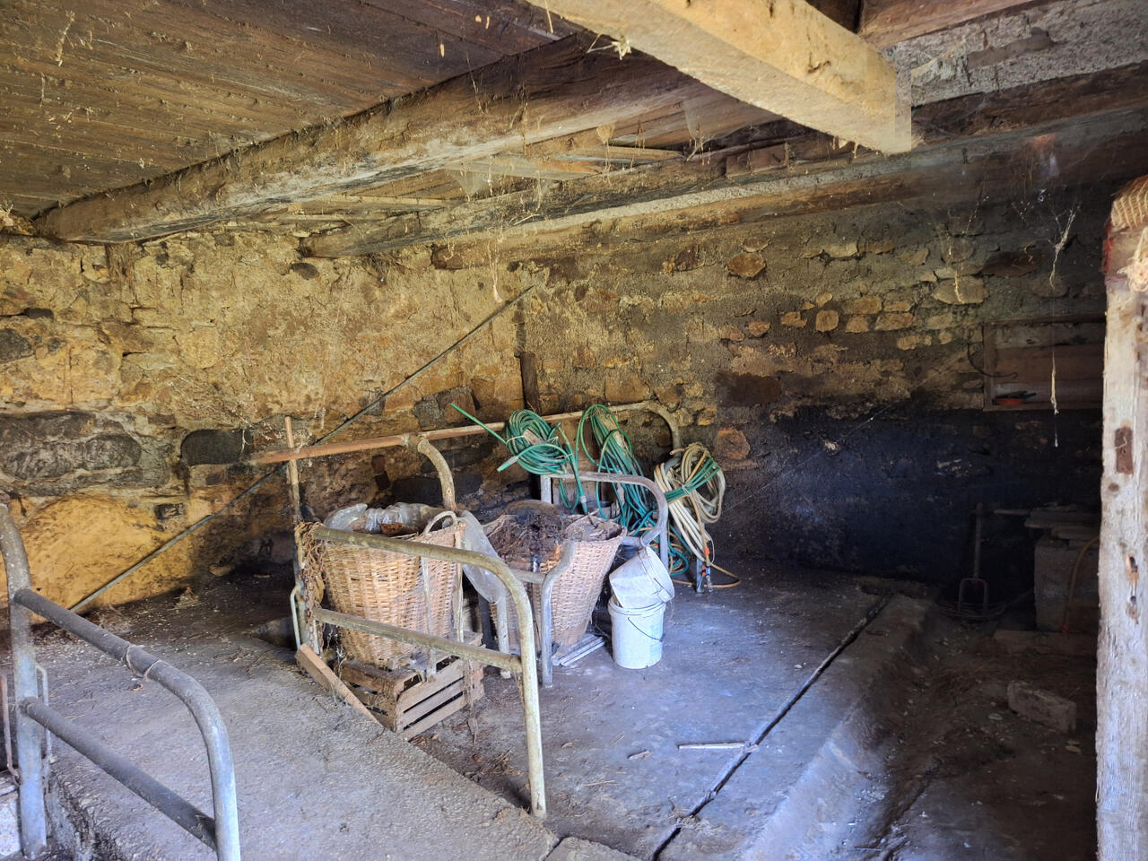 Ферма в Севнице, Словения, 51 000 м² - фото 10