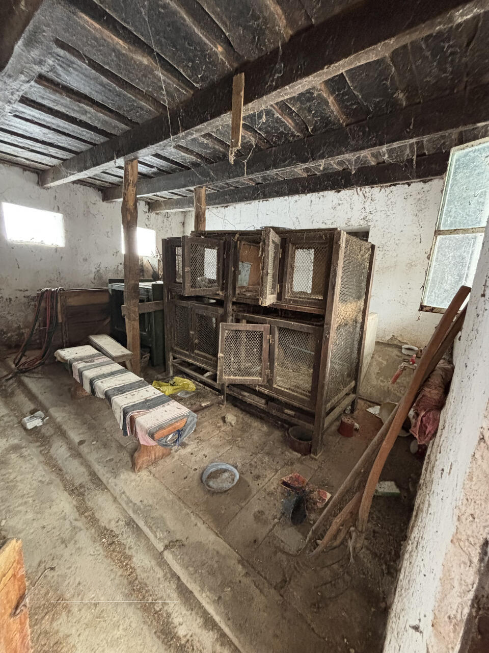 Ферма в Орможе, Словения, 41 847 м² - фото 10