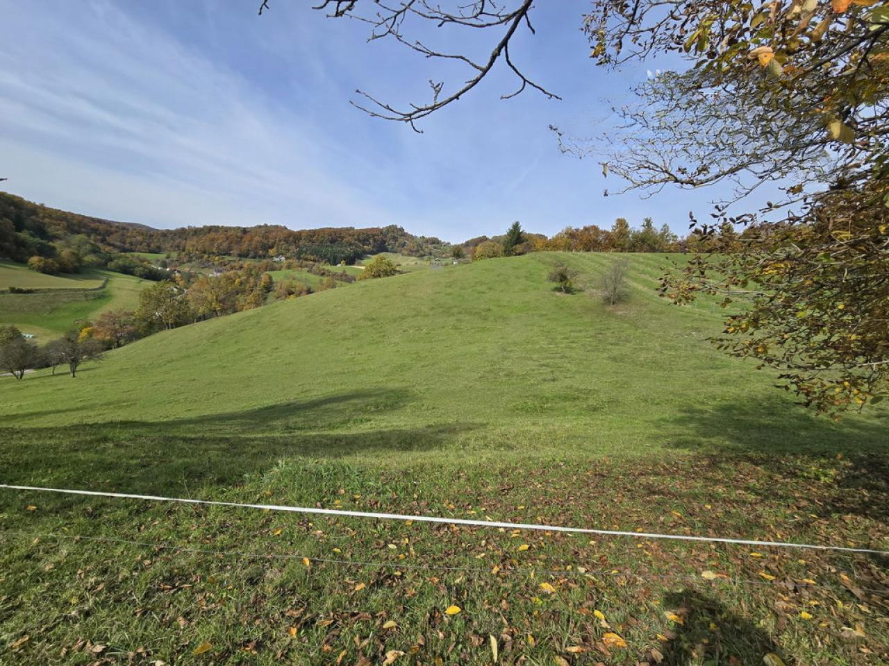 Ферма в Шентюре, Словения, 35 м² - фото 10