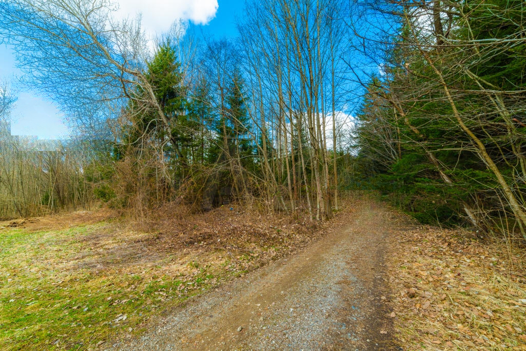 Земля в Радовлице, Словения, 15 499 м² - фото 11