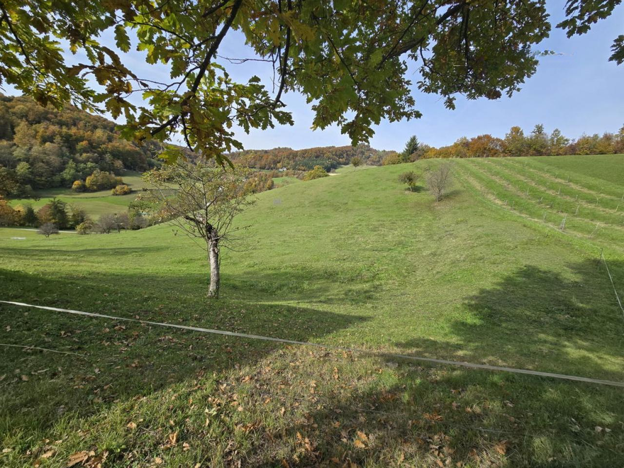 Ферма в Шентюре, Словения, 35 м² - фото 11