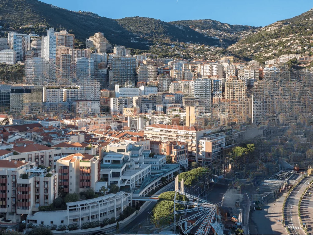 Квартира в Ла-Кондамине, Монако, 116 м² - фото 11