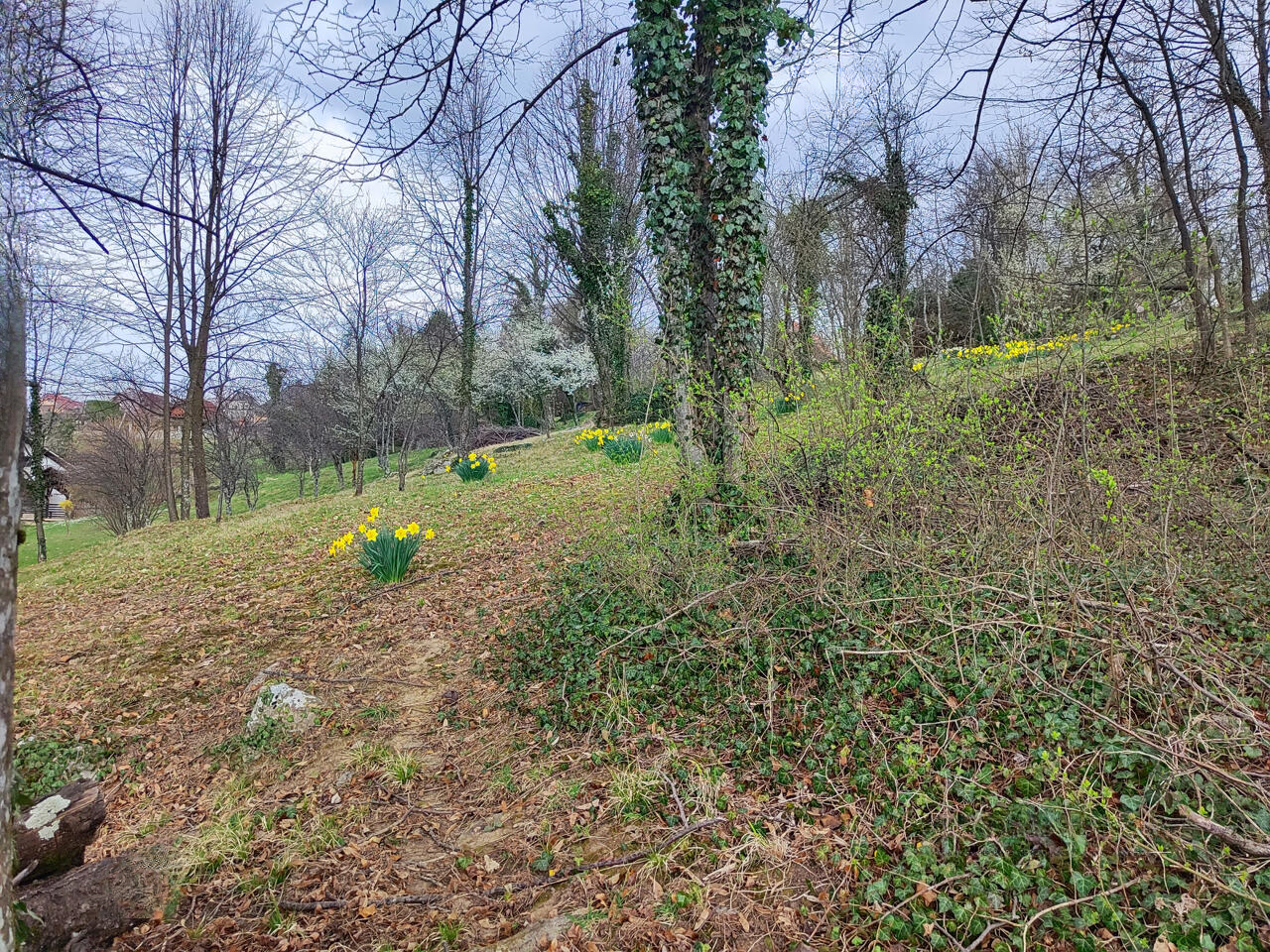 Дом в Чрномеле, Словения, 57 м² - фото 13