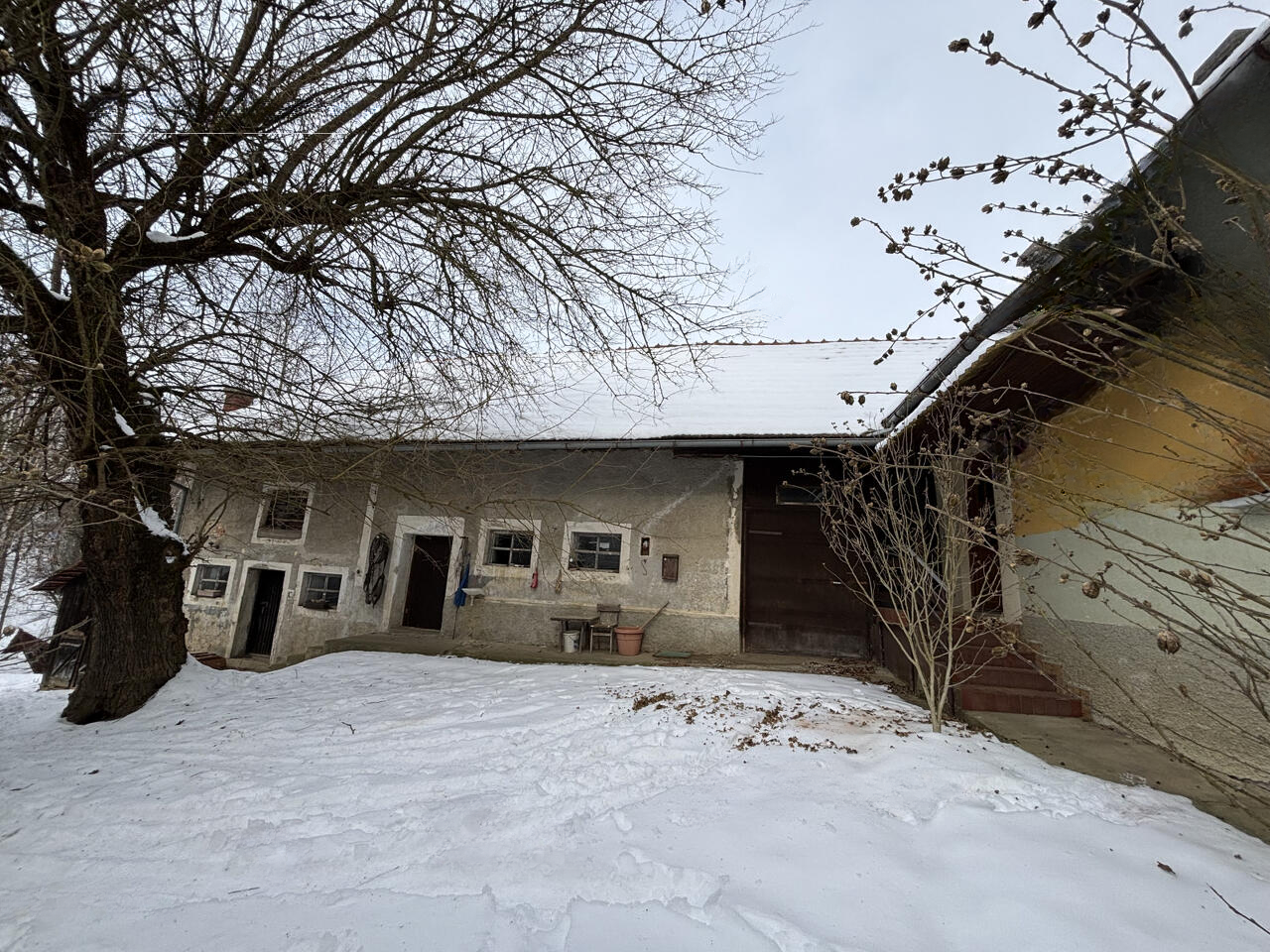 Ферма в Орможе, Словения, 41 847 м² - фото 13