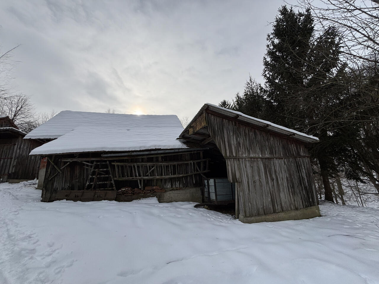 Ферма в Орможе, Словения, 41 847 м² - фото 14