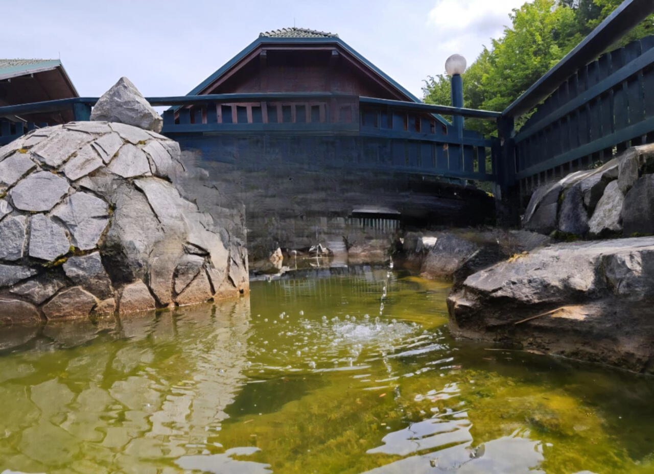 Ферма в Птуе, Словения, 656 м² - фото 14