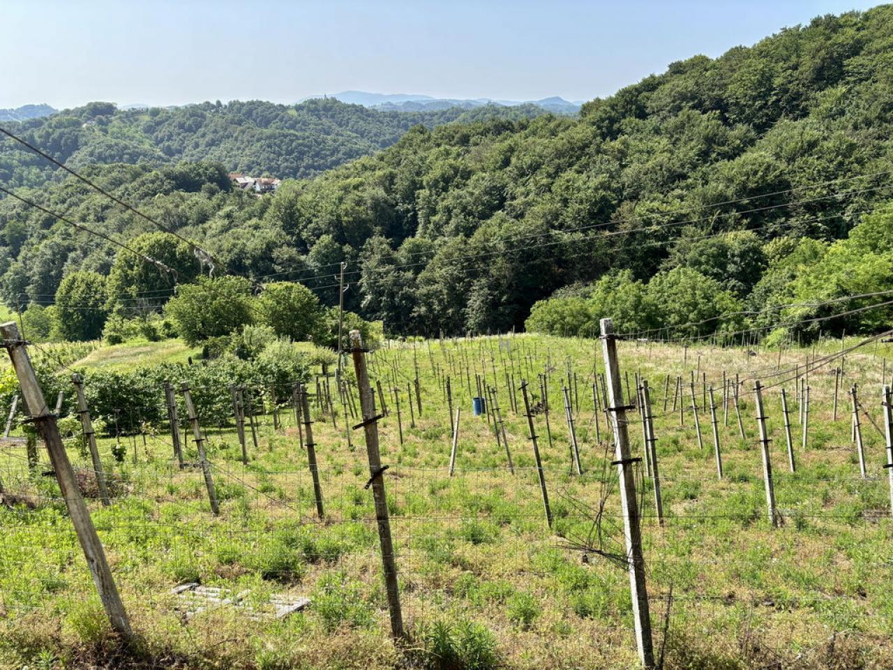 Дом в Птуе, Словения, 82 м² - фото 16