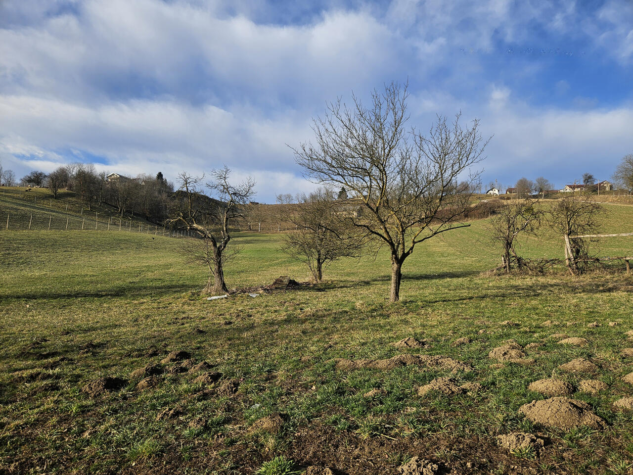 Ферма в Шентиле, Словения, 25 430 м² - фото 16