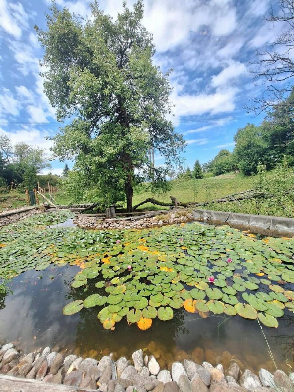 Ферма в Лашко, Словения, 13 м² - фото 16