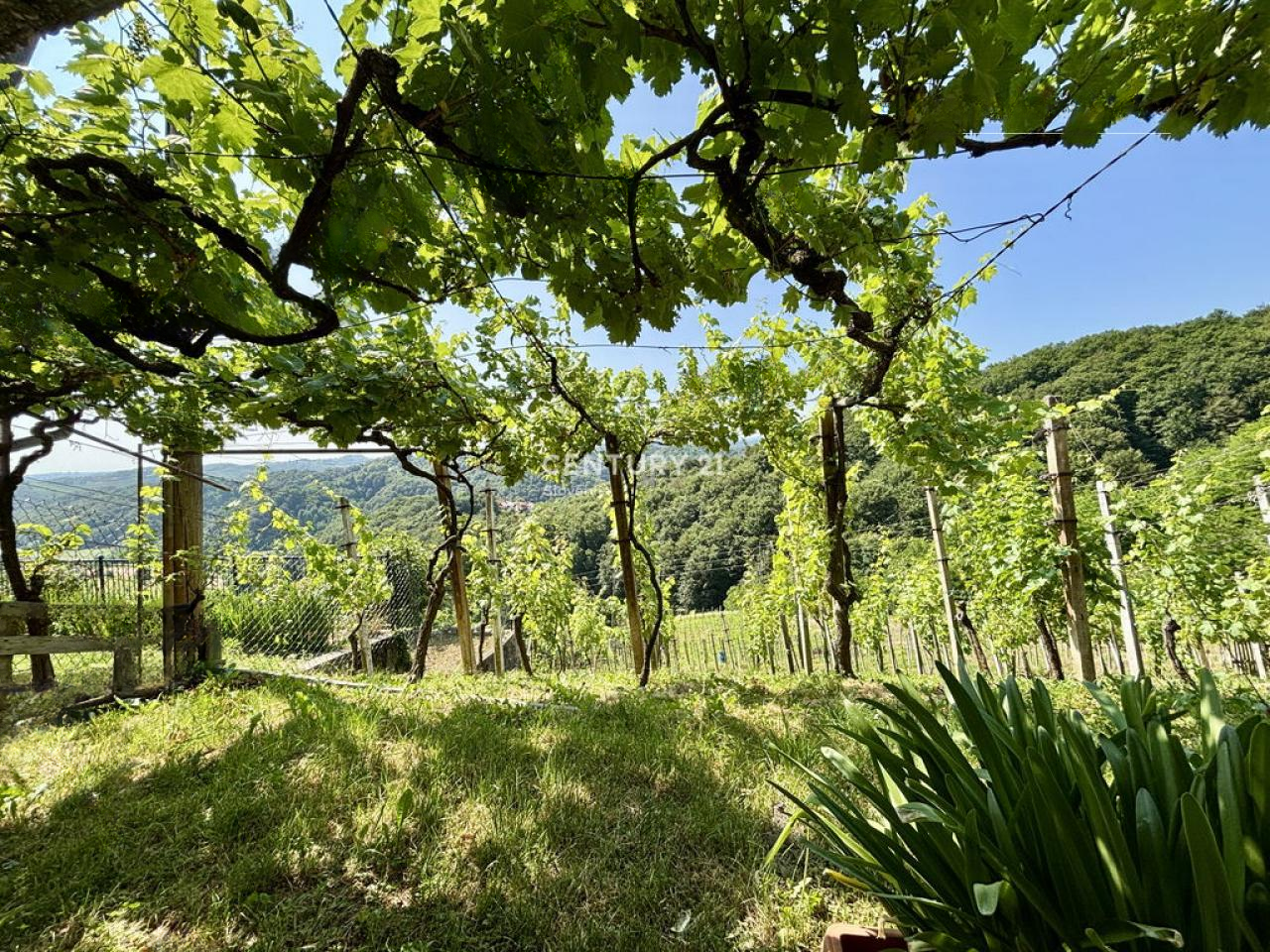 Дом в Птуе, Словения, 82 м² - фото 17