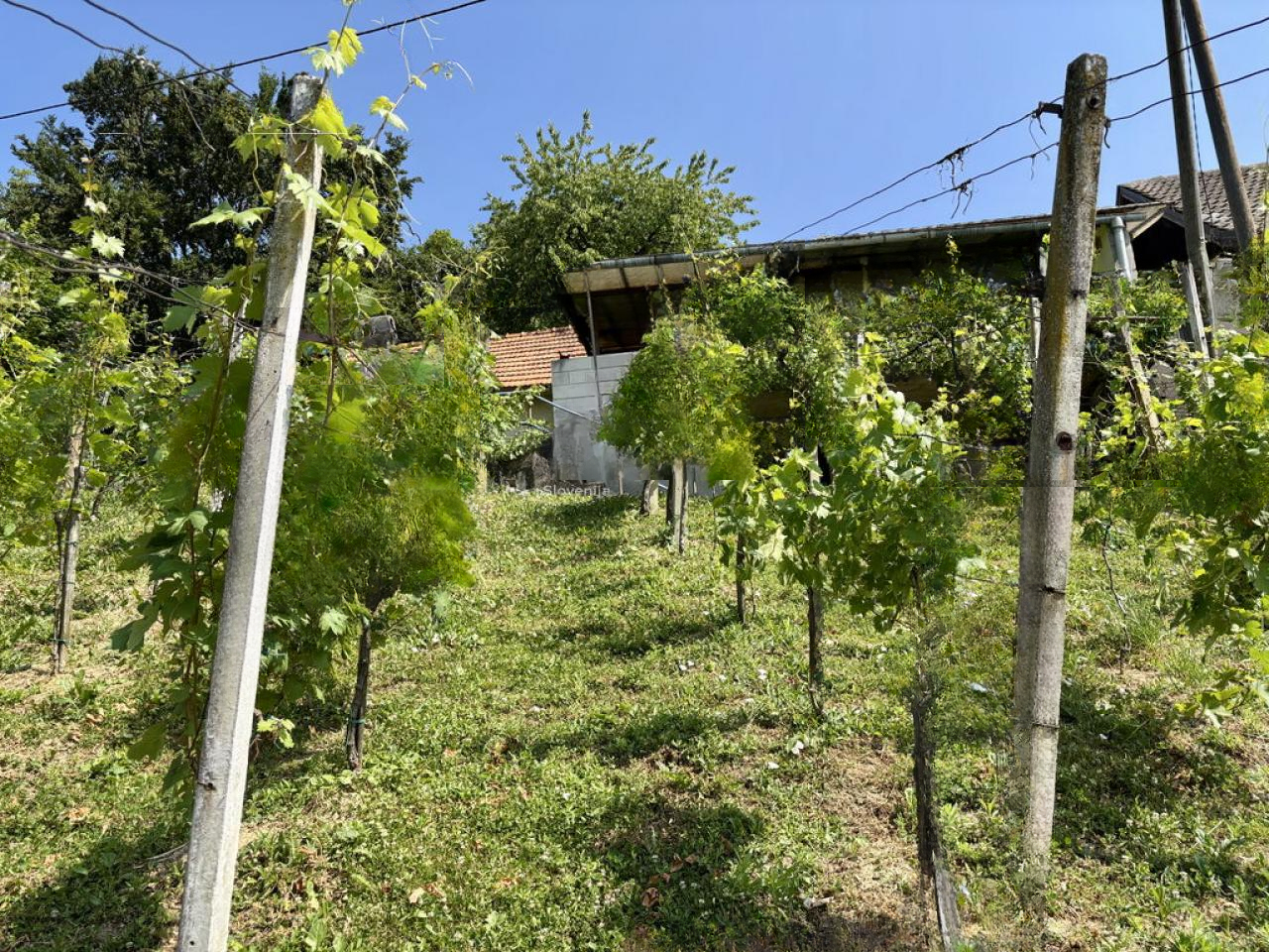 Дом в Птуе, Словения, 82 м² - фото 18