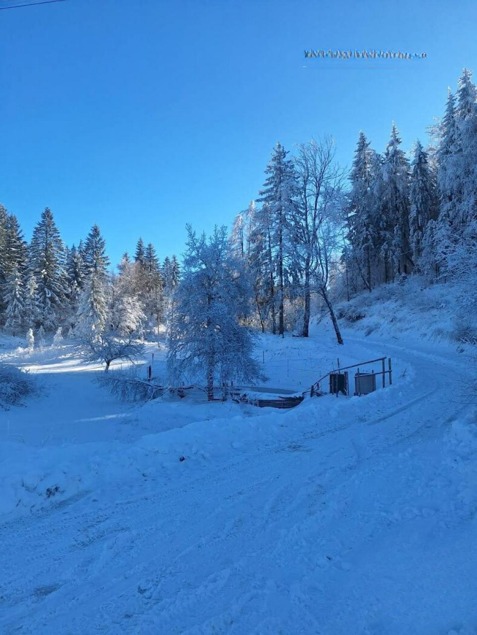 Ферма в Лашко, Словения, 13 м² - фото 18