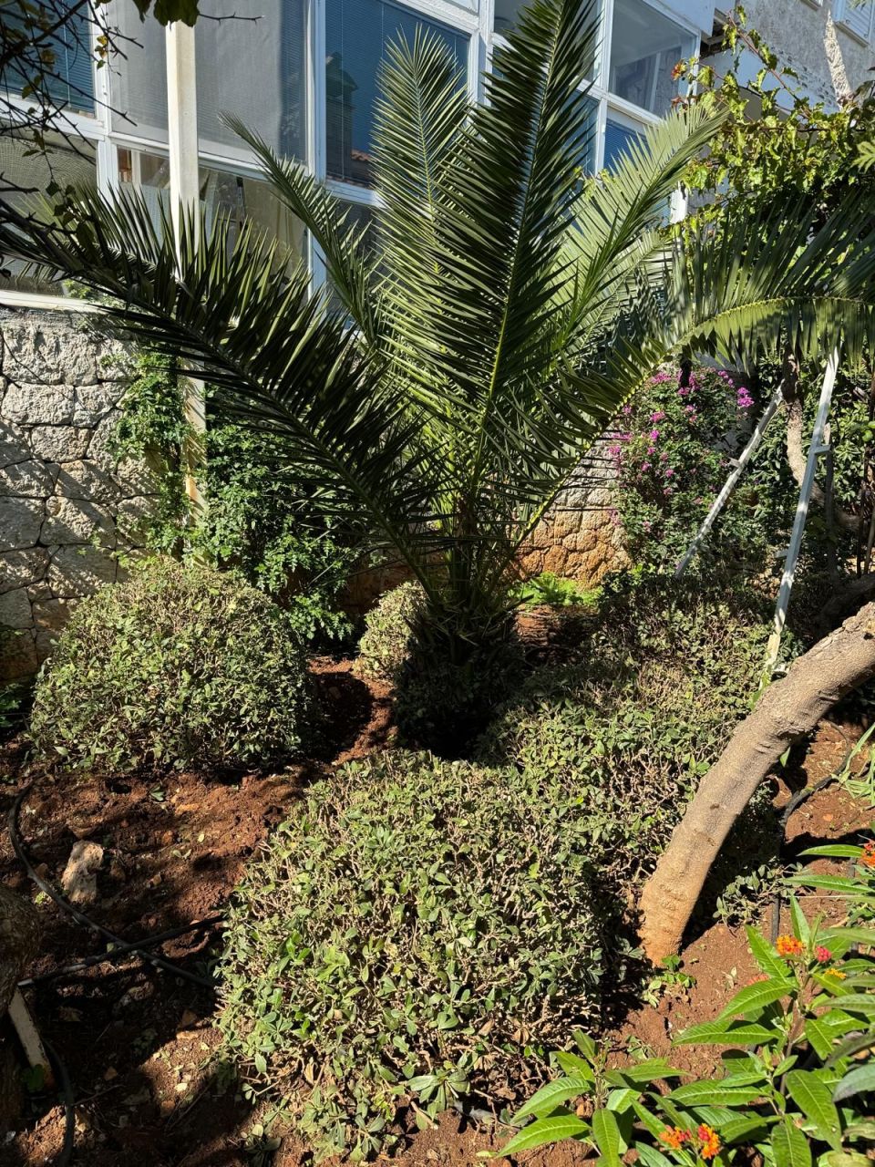 Вилла в Каше, Турция, 90 м² - фото 7