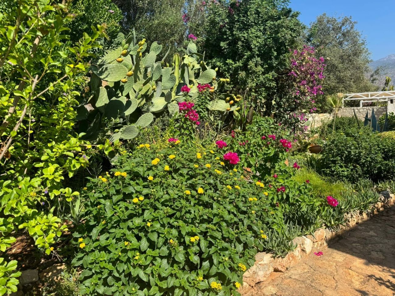 Вилла в Каше, Турция, 90 м² - фото 5