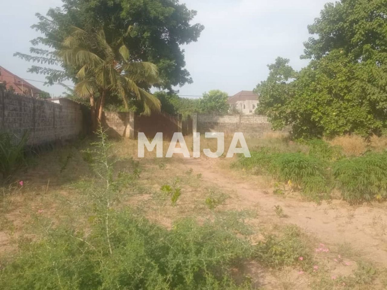 Кафе, ресторан Mariama Kunda, Гамбия, 1 000 м² - фото 2