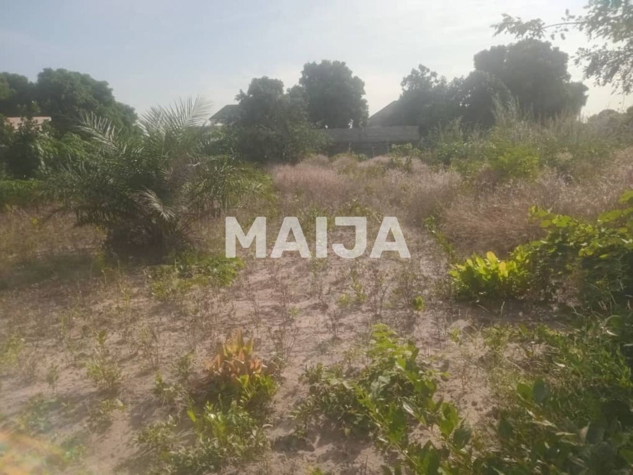 Кафе, ресторан Mariama Kunda, Гамбия, 1 000 м² - фото 5