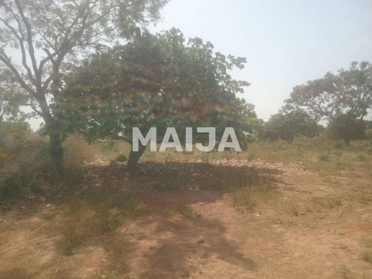 Дом Brikama, Гамбия, 7 589.54 м² - фото 6