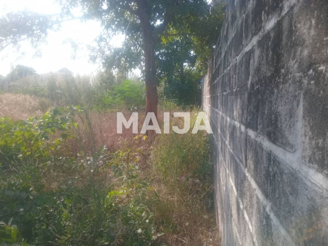 Кафе, ресторан Mariama Kunda, Гамбия, 1 000 м² - фото 7