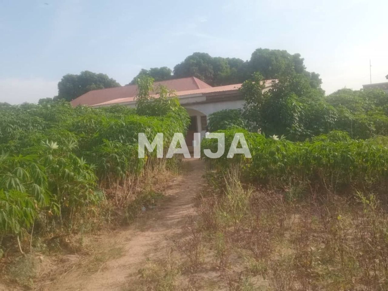 Кафе, ресторан Mariama Kunda, Гамбия, 1 000 м² - фото 10