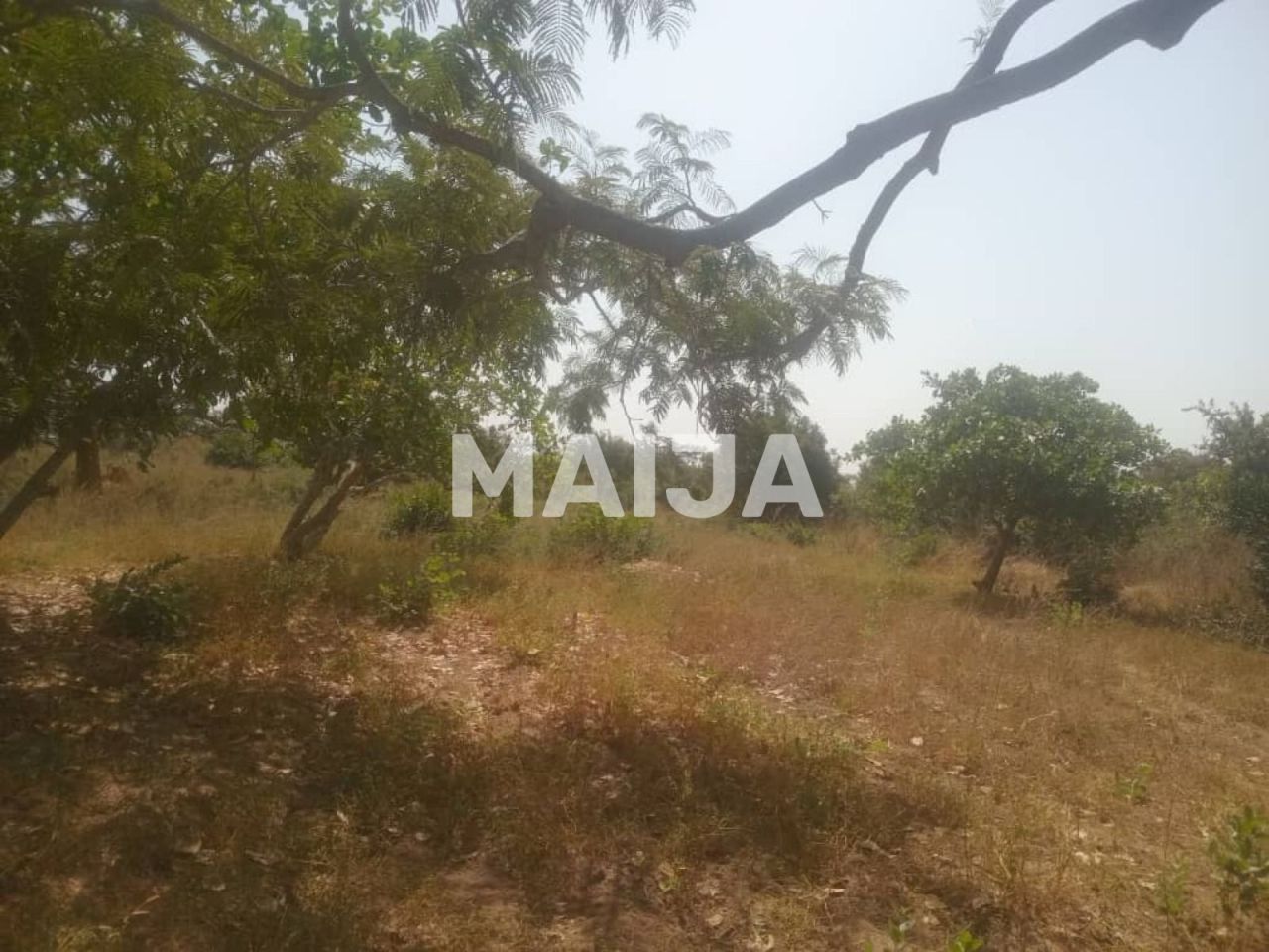 Дом Brikama, Гамбия, 7 589.54 м² - фото 12