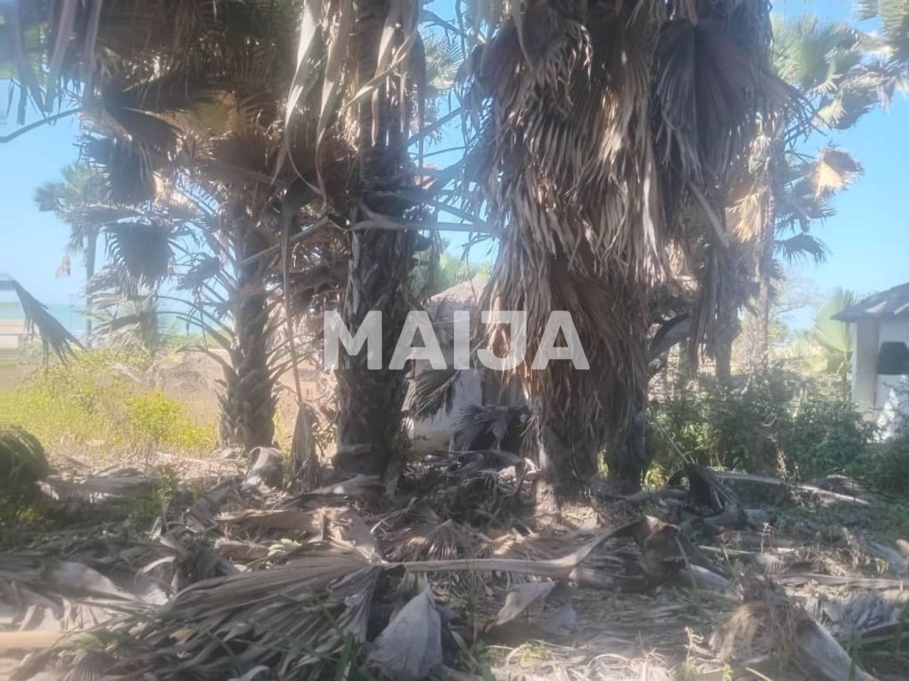 Офис Gunjur Madina, Гамбия, 14.07 м² - фото 13