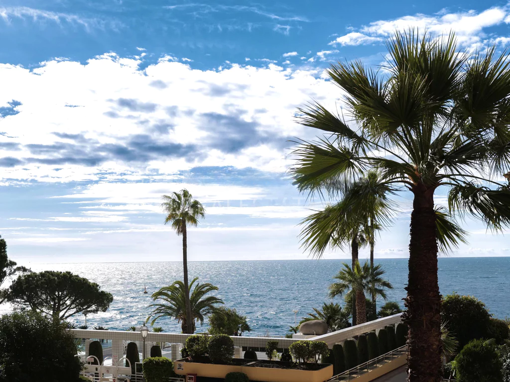 Квартира в Фонвьее, Монако, 245 м² - фото 6