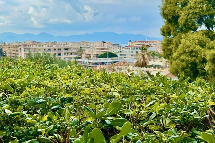 Квартира в Каннах, Франция, 70 м² - фото 4