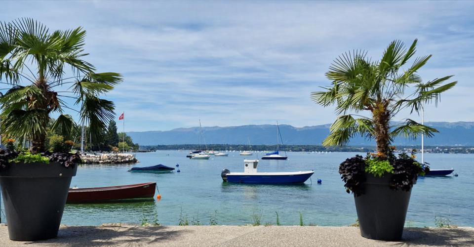 Квартира в Женеве, Швейцария, 453 м² - фото 1