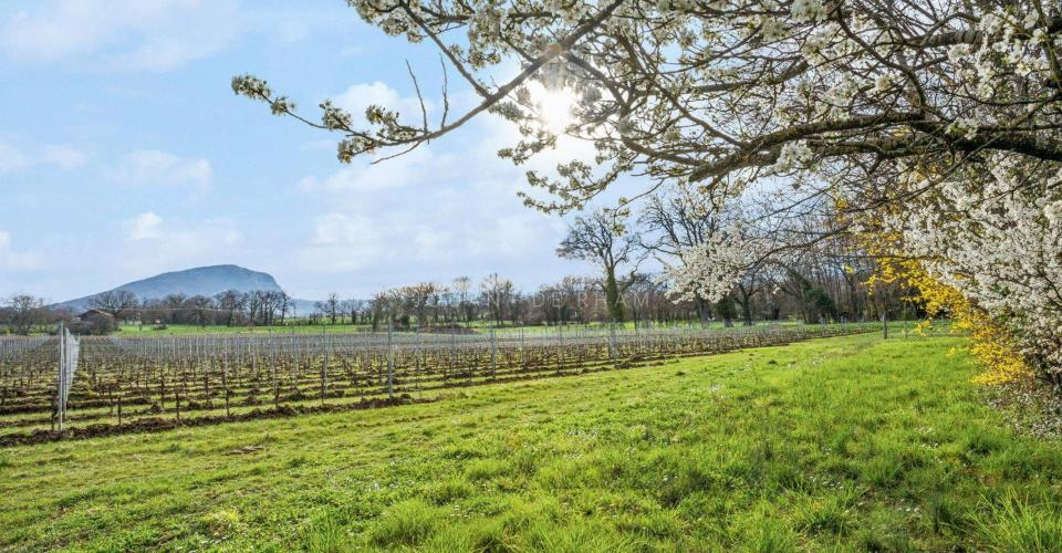 Квартира в Женеве, Швейцария, 400 м² - фото 2